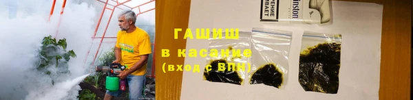 гашик Бородино