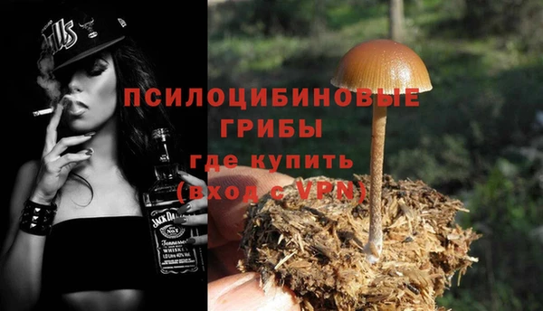 МДПВ Бронницы
