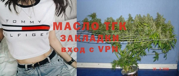 гашик Бородино