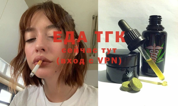 гашик Бородино