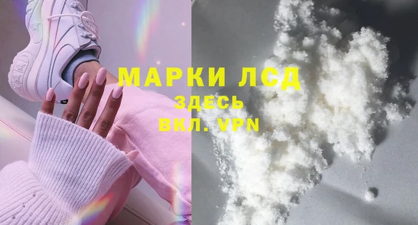 гашик Бородино