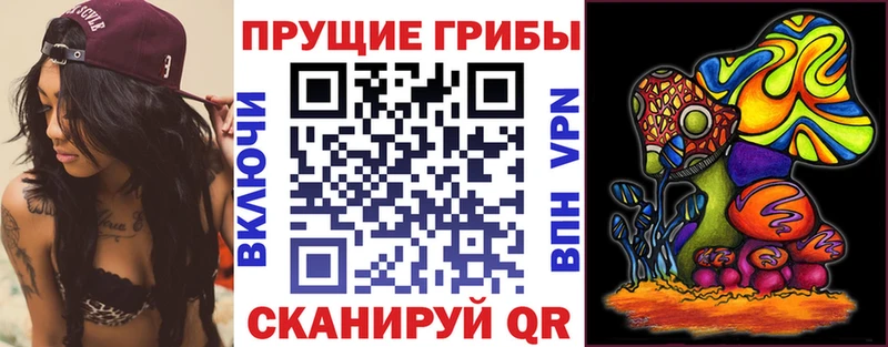 Купить закладки  Томмот  Галлюциногенные грибы мухоморы 